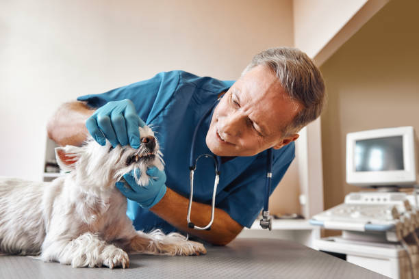 Best Emergency Dental Surgery in Tuscoosa, AL